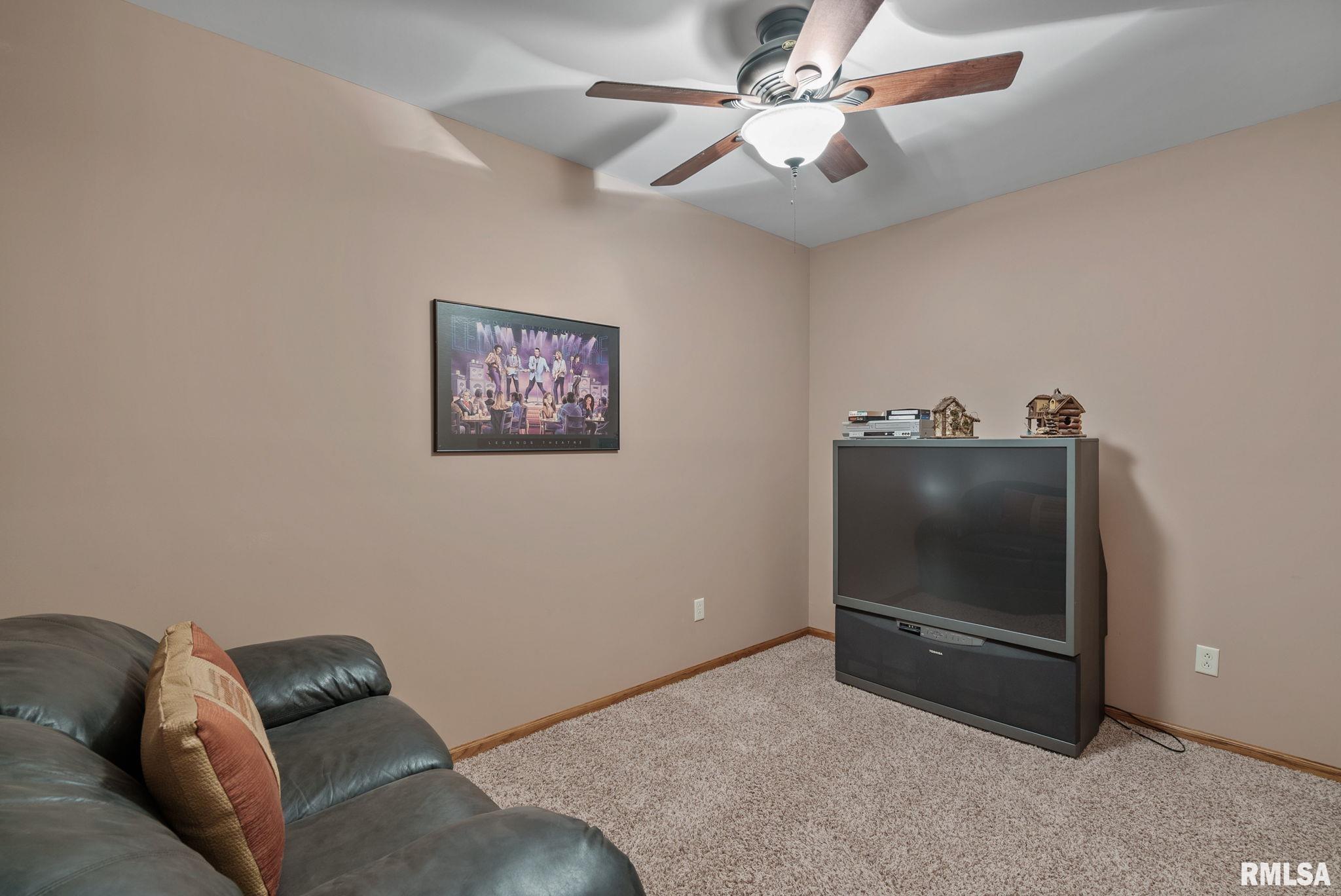 115 Woodland Drive, Andalusia, Illinois image 28