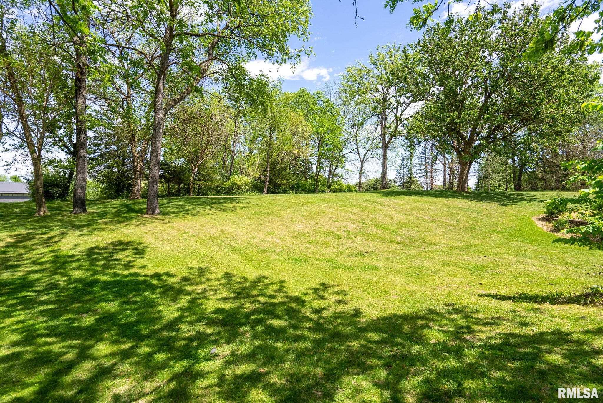 115 Woodland Drive, Andalusia, Illinois image 35