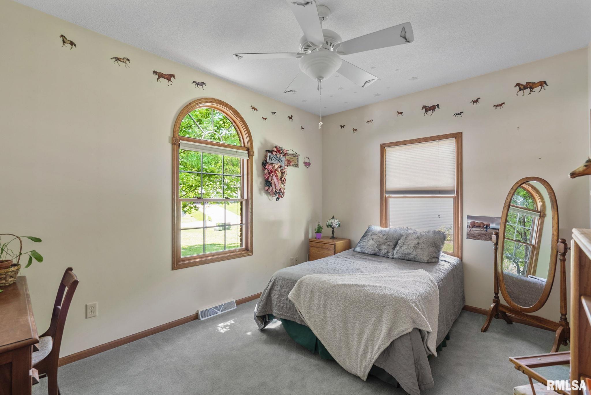 115 Woodland Drive, Andalusia, Illinois image 21