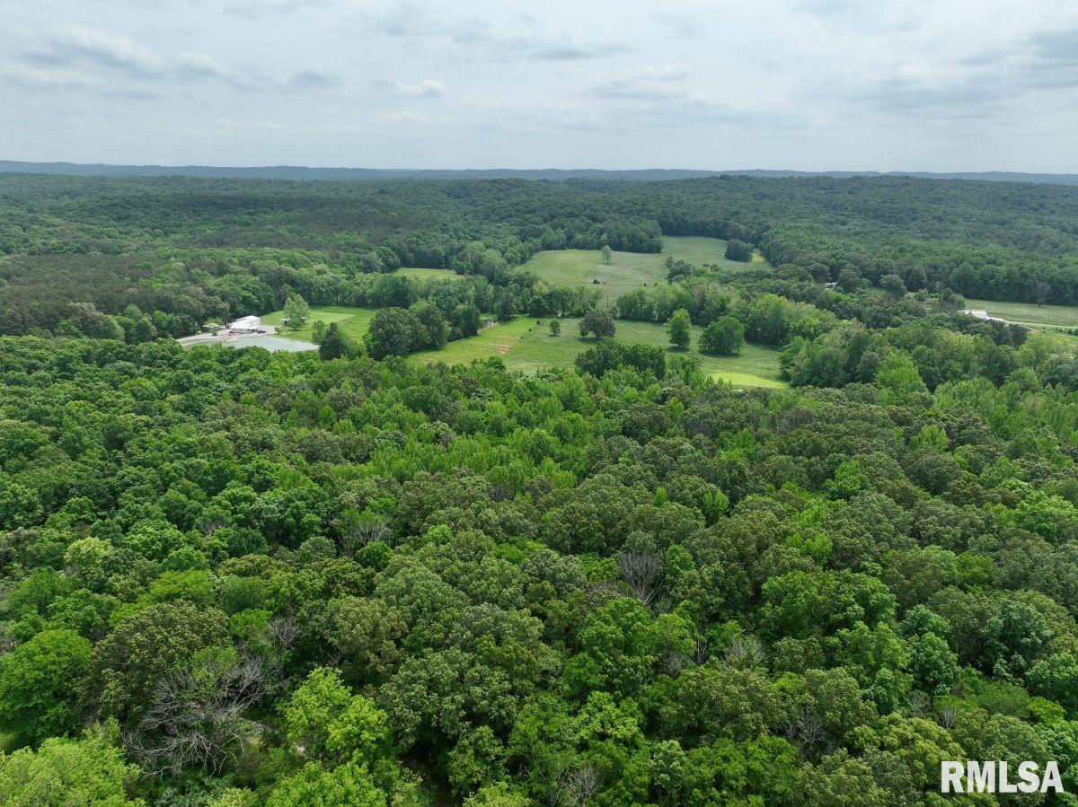 002 Battleford Road, Stonefort, Illinois image 13