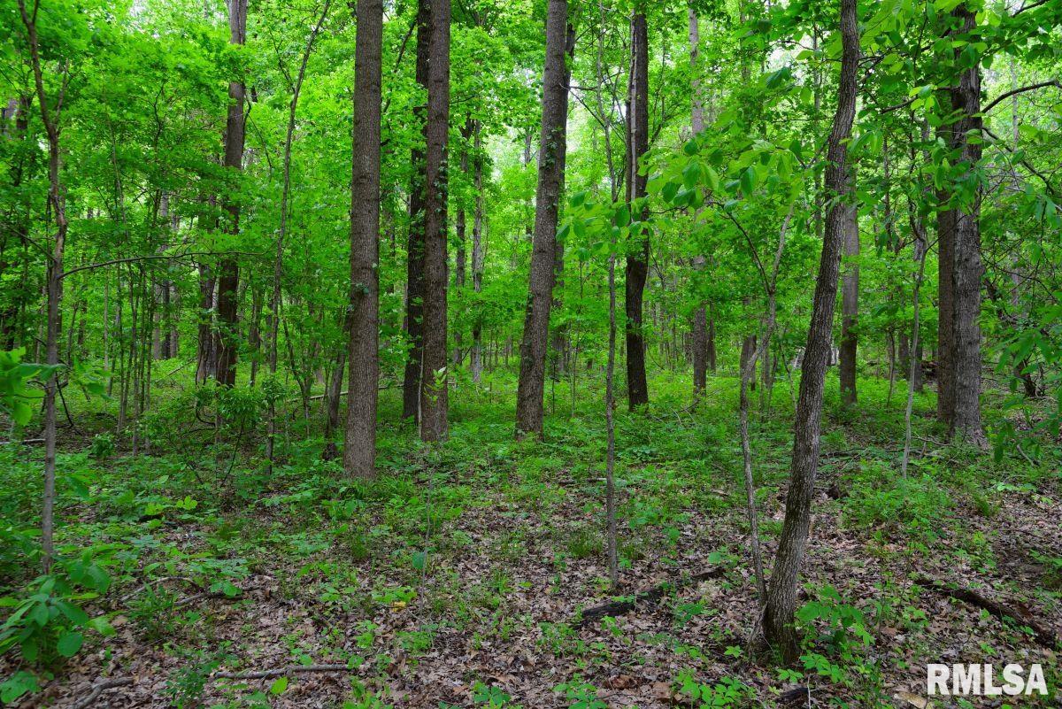 002 Battleford Road, Stonefort, Illinois image 10