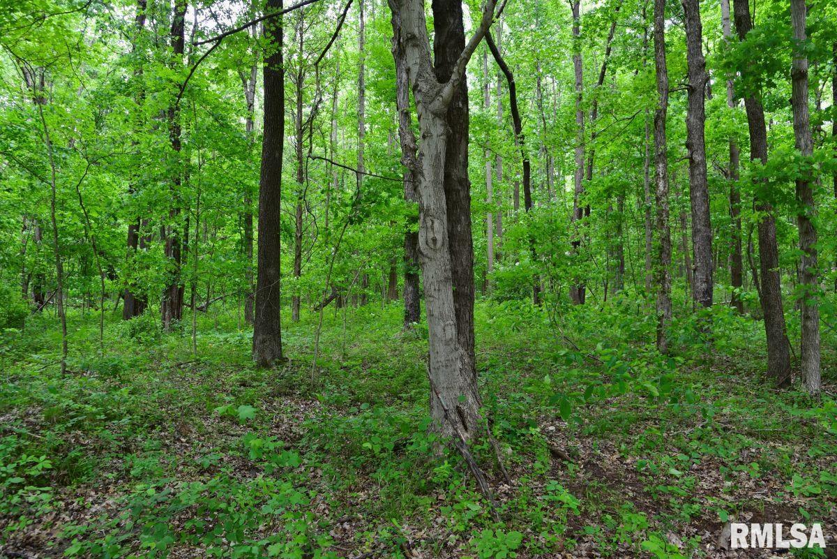002 Battleford Road, Stonefort, Illinois image 14