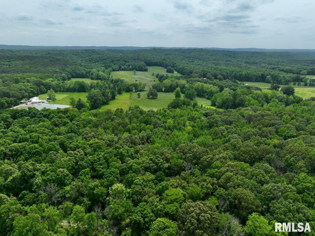 002 Battleford Road, Stonefort, Illinois image 17