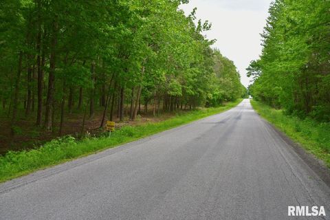 Vacant Land For Sale - 002 Battleford Road<br/> Saline County, Stonefort, IL 62987