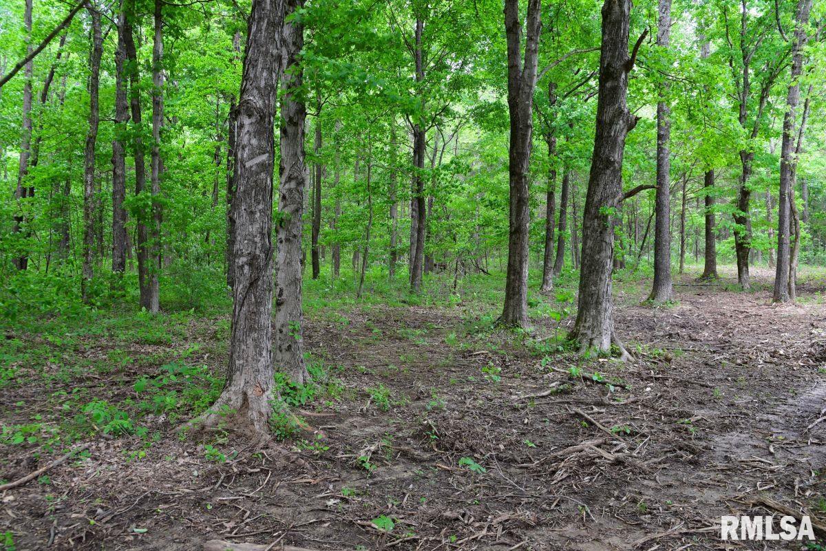 002 Battleford Road, Stonefort, Illinois image 3