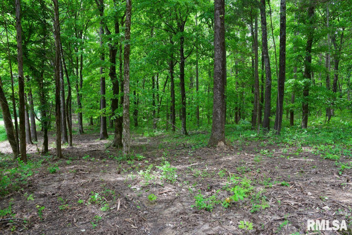 002 Battleford Road, Stonefort, Illinois image 12