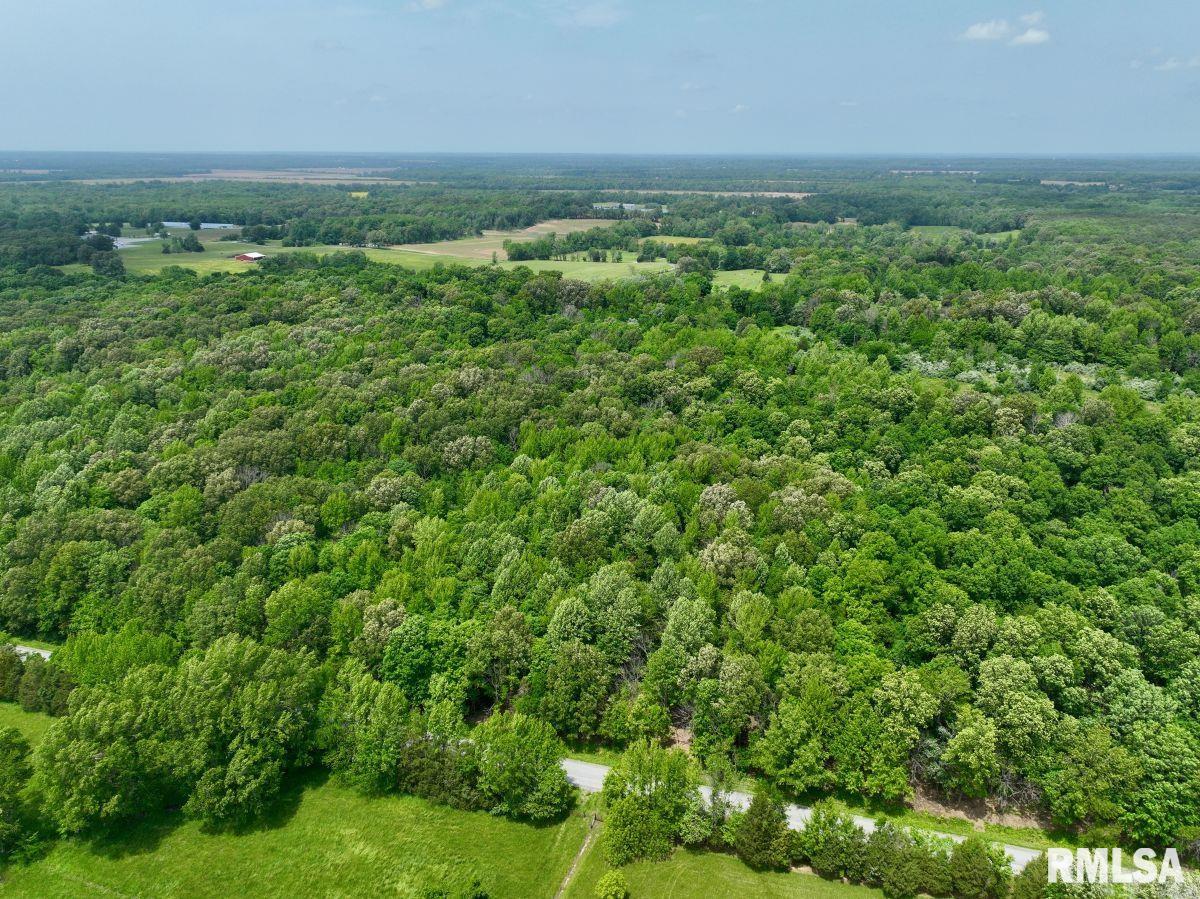 002 Battleford Road, Stonefort, Illinois image 9