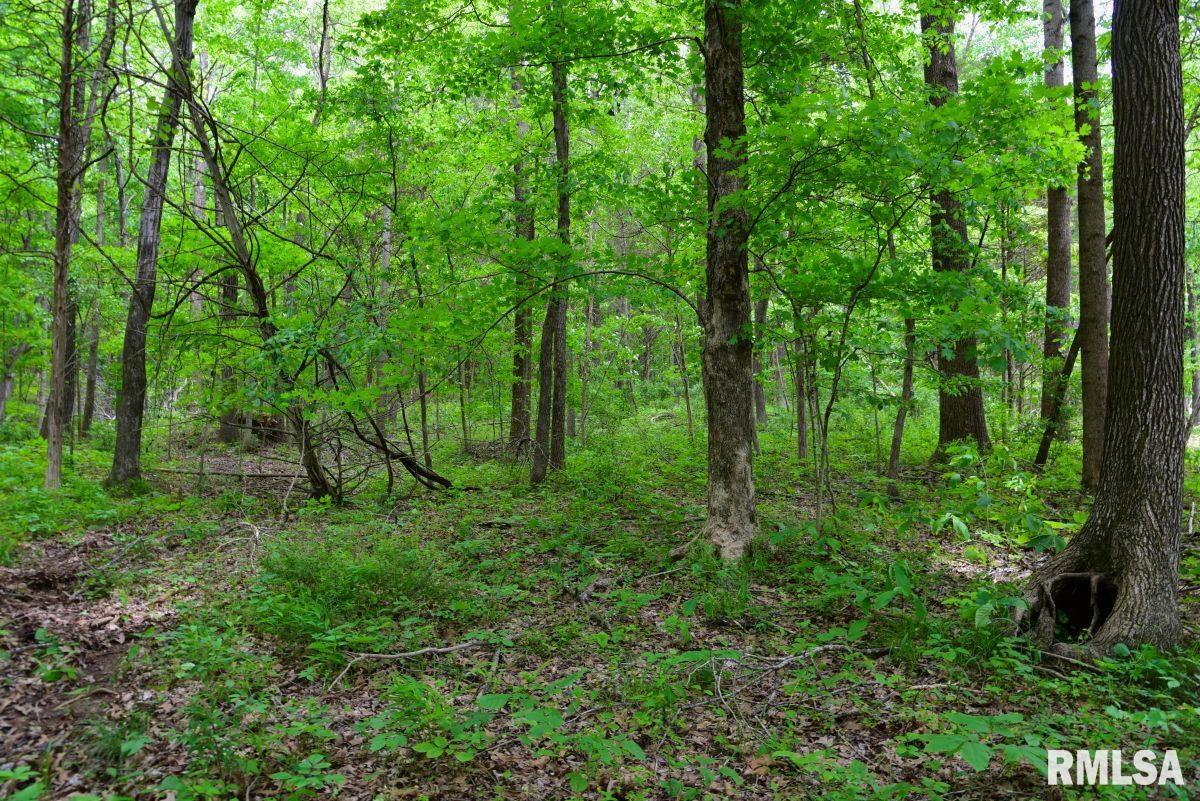 002 Battleford Road, Stonefort, Illinois image 11