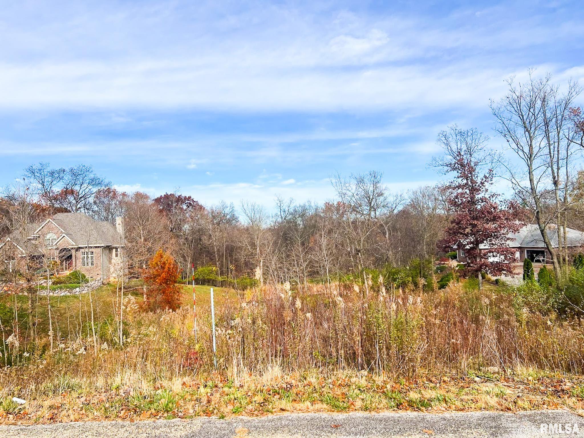 1216 Winterberry Court, Germantown Hills, Illinois image 8