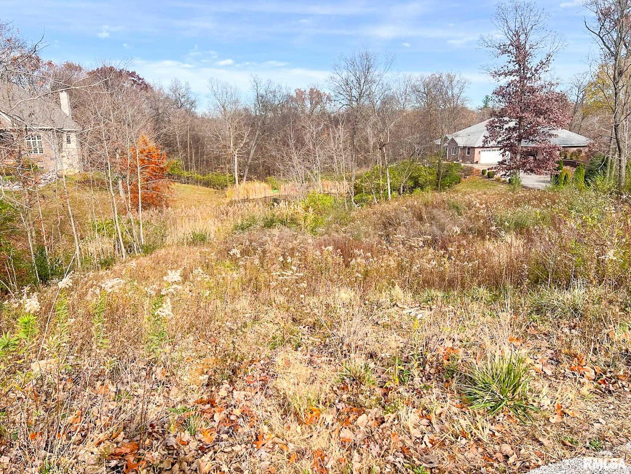 1216 Winterberry Court, Germantown Hills, Illinois image 9