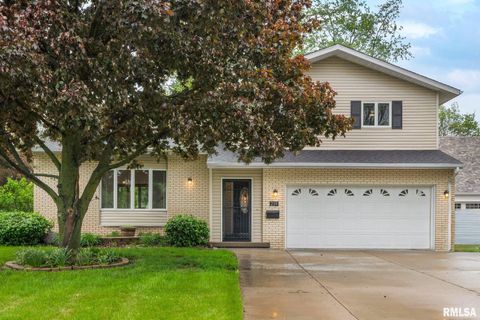 Photo of 219 W BIRCHWOOD Street, Morton, IL 61550 (MLS # PA1266011)