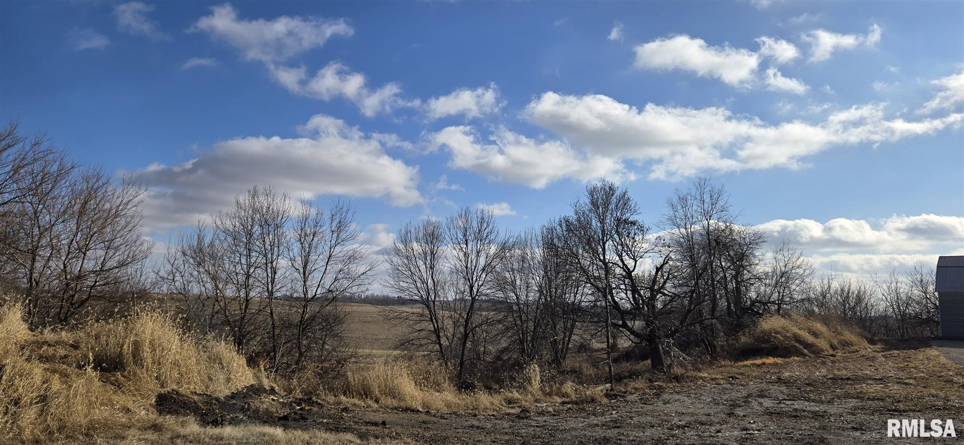 1771 150th Street, Lost Nation, Iowa image 5