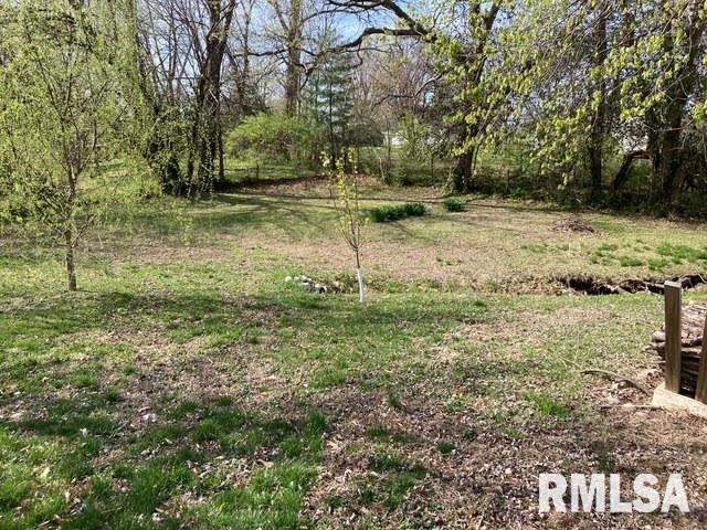 121 E Kinzie Street, Riverton, Illinois image 6