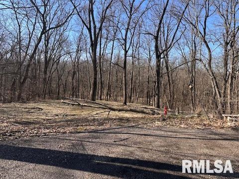 Vacant Land For Sale - 16 Londonderry Lane<br/> Mackinaw, IL 61755