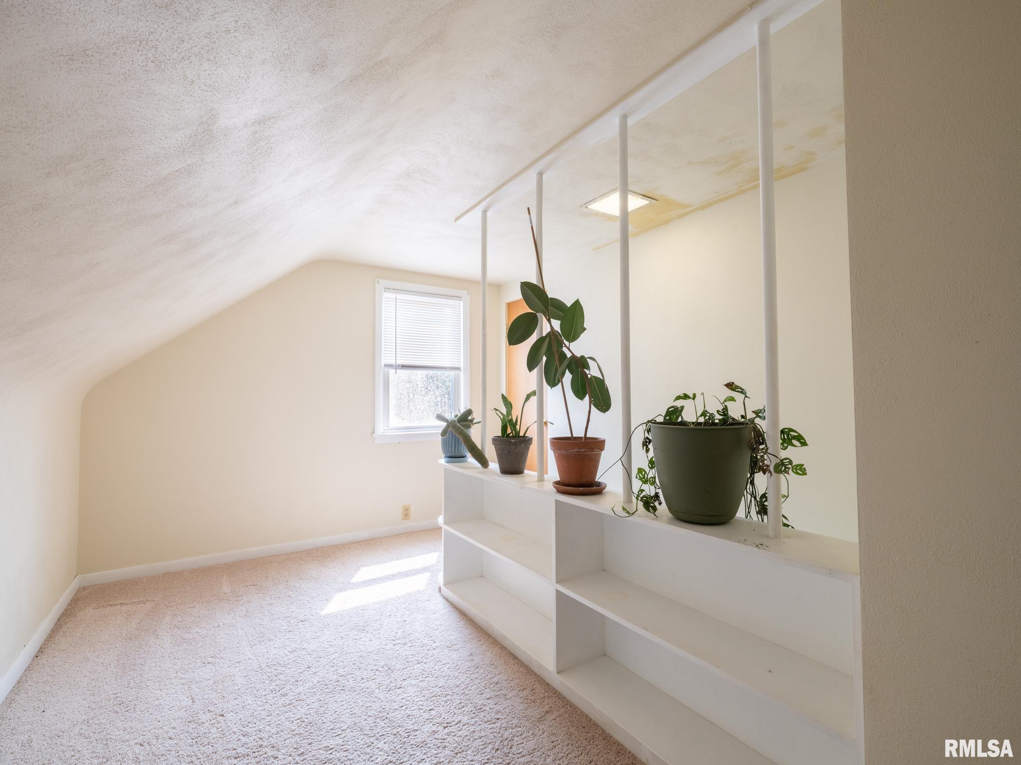 4129 N Hollyridge Circle, Peoria, Illinois image 50