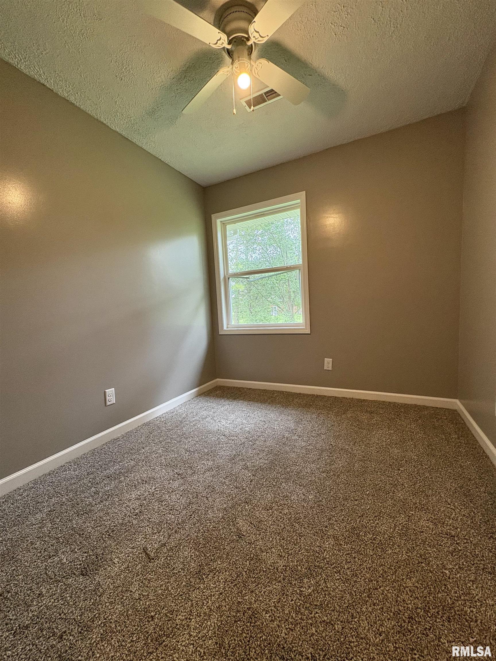 910 Fairlane Drive, Marion, Illinois image 20