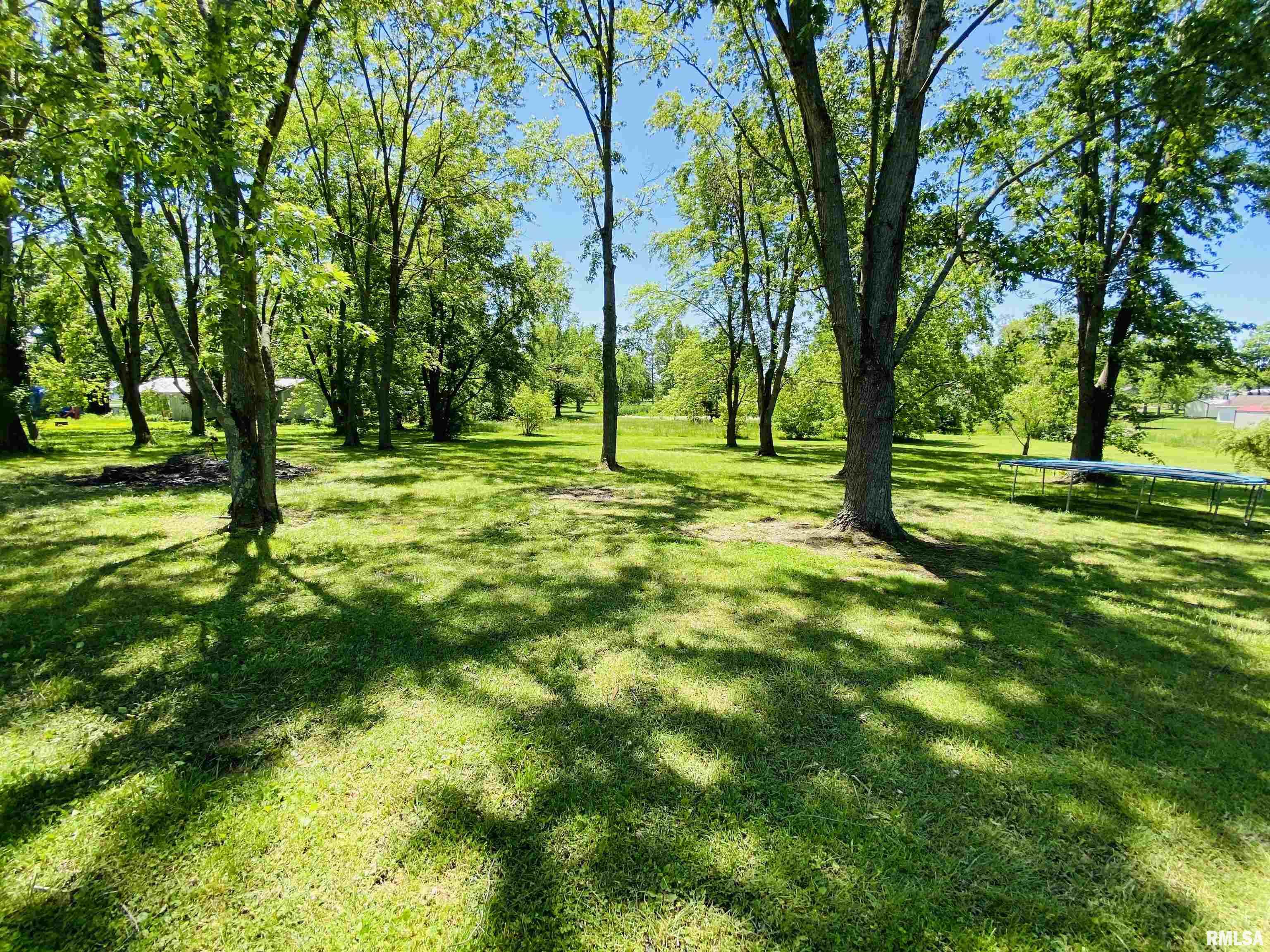 2413 North Street, Harrisburg, Illinois image 8