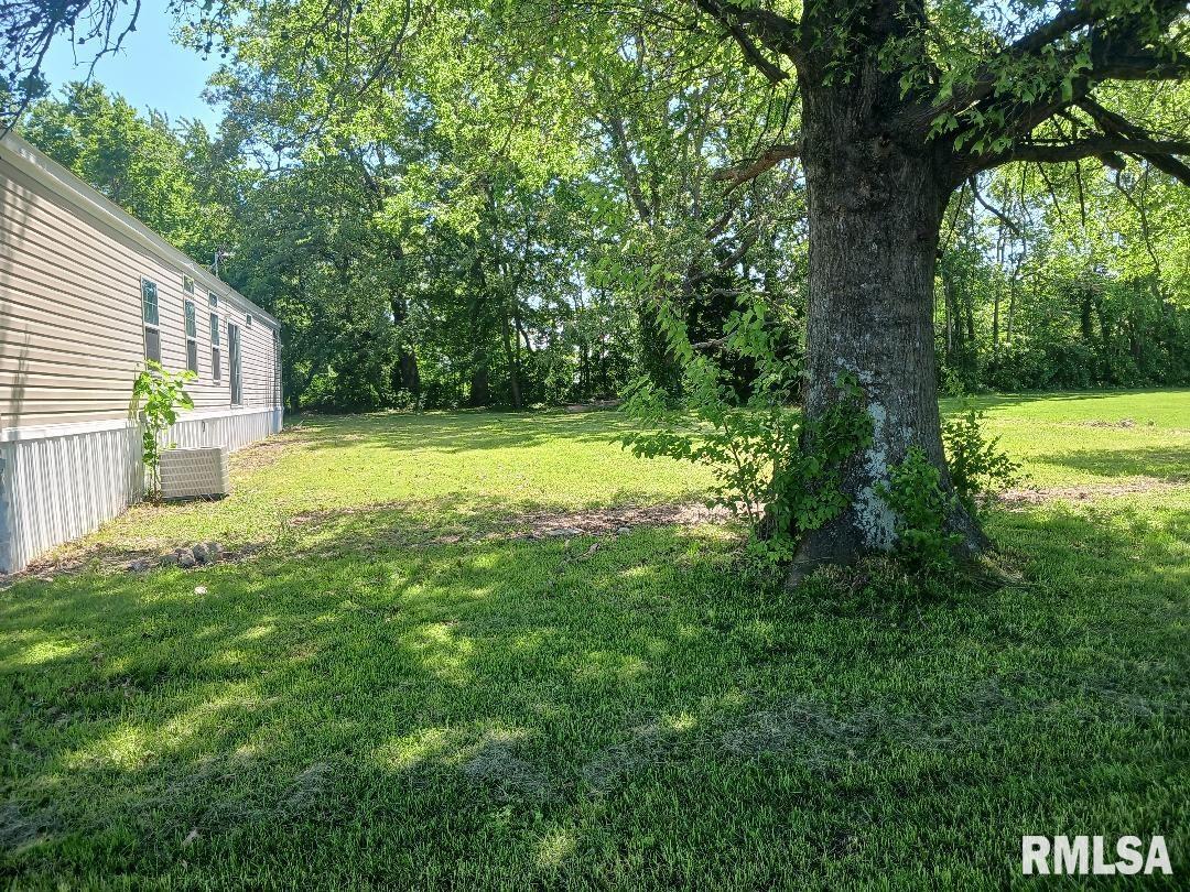 101 Adams Street, Whittington, Illinois image 11