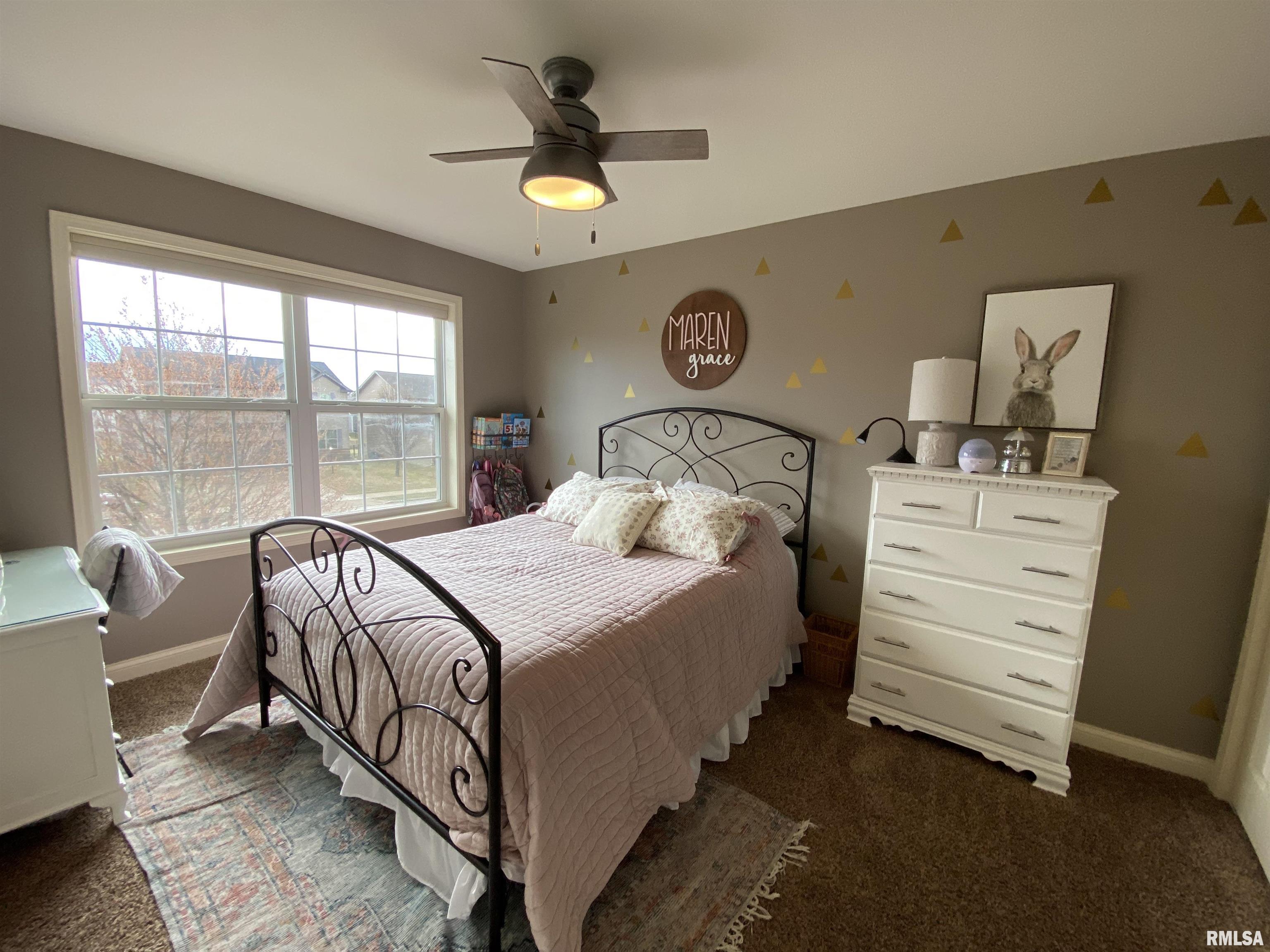 2811 W School Street, Dunlap, Illinois image 33