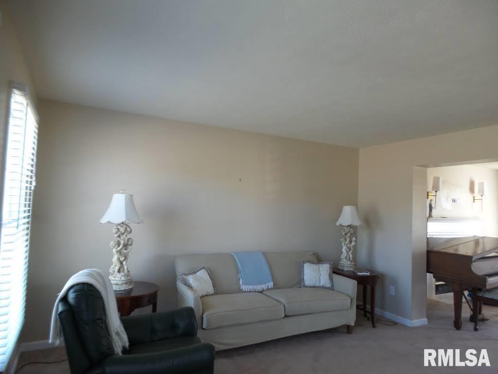 11511 N Scotts Trail, Dunlap, Illinois image 15