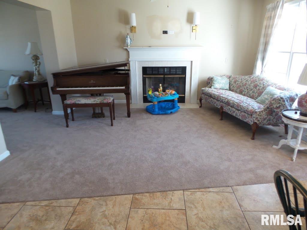 11511 N Scotts Trail, Dunlap, Illinois image 19