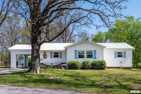 Photo of 11648 Trolley Line Road, Marion, IL 62959 (MLS # PA1265482)