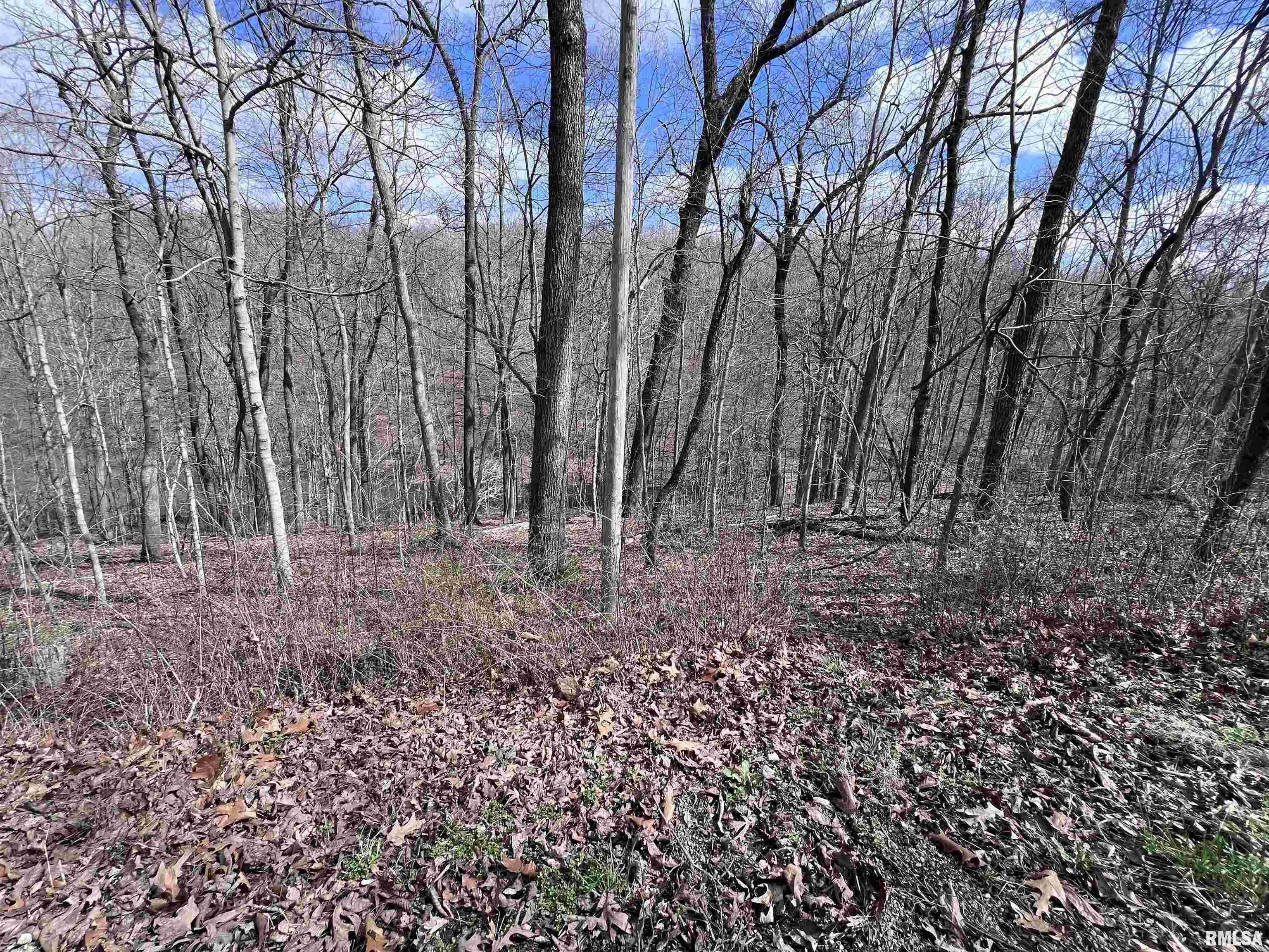 00 Deer Ridge Road, Goreville, Illinois image 10