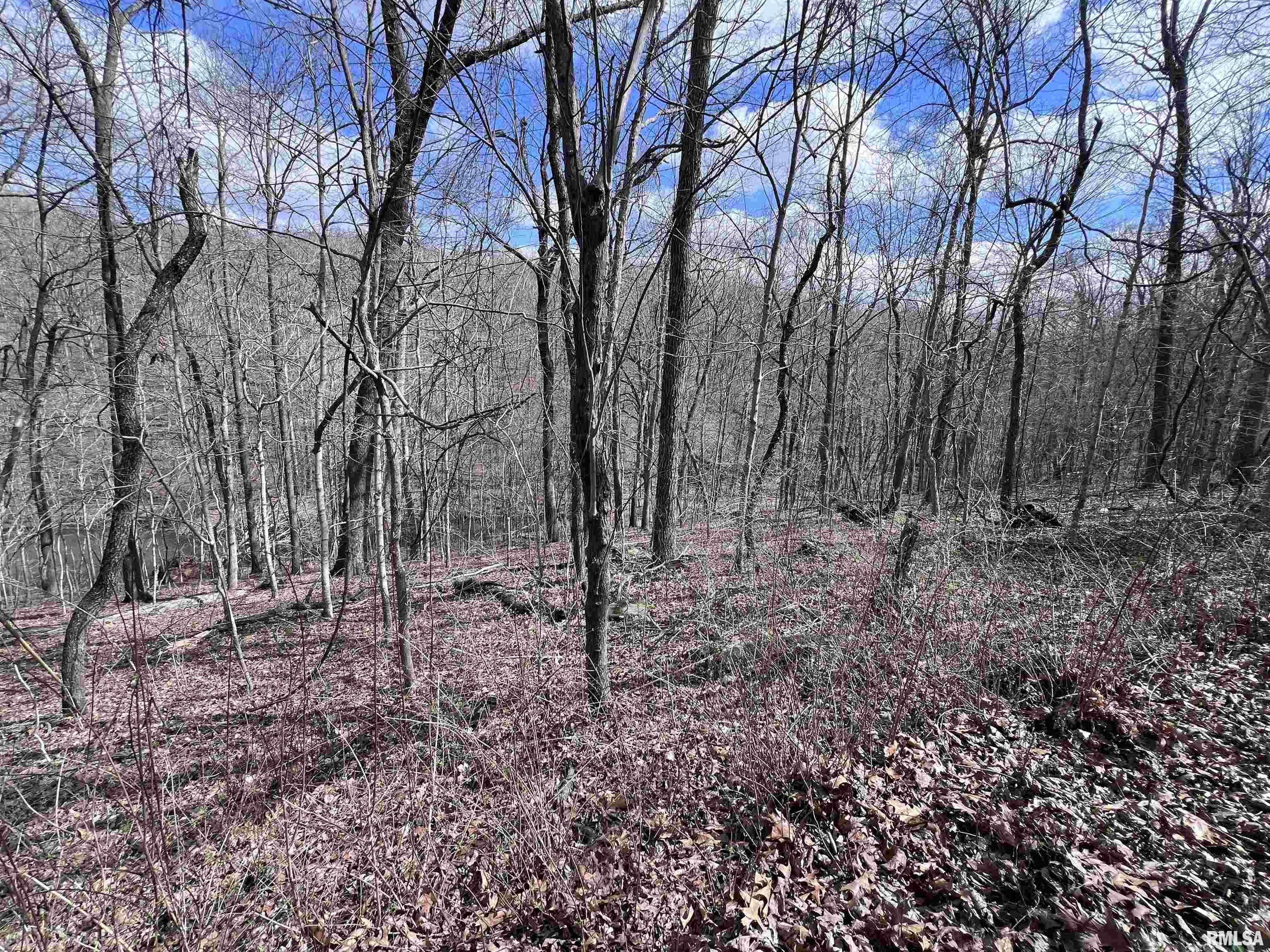 00 Deer Ridge Road, Goreville, Illinois image 11