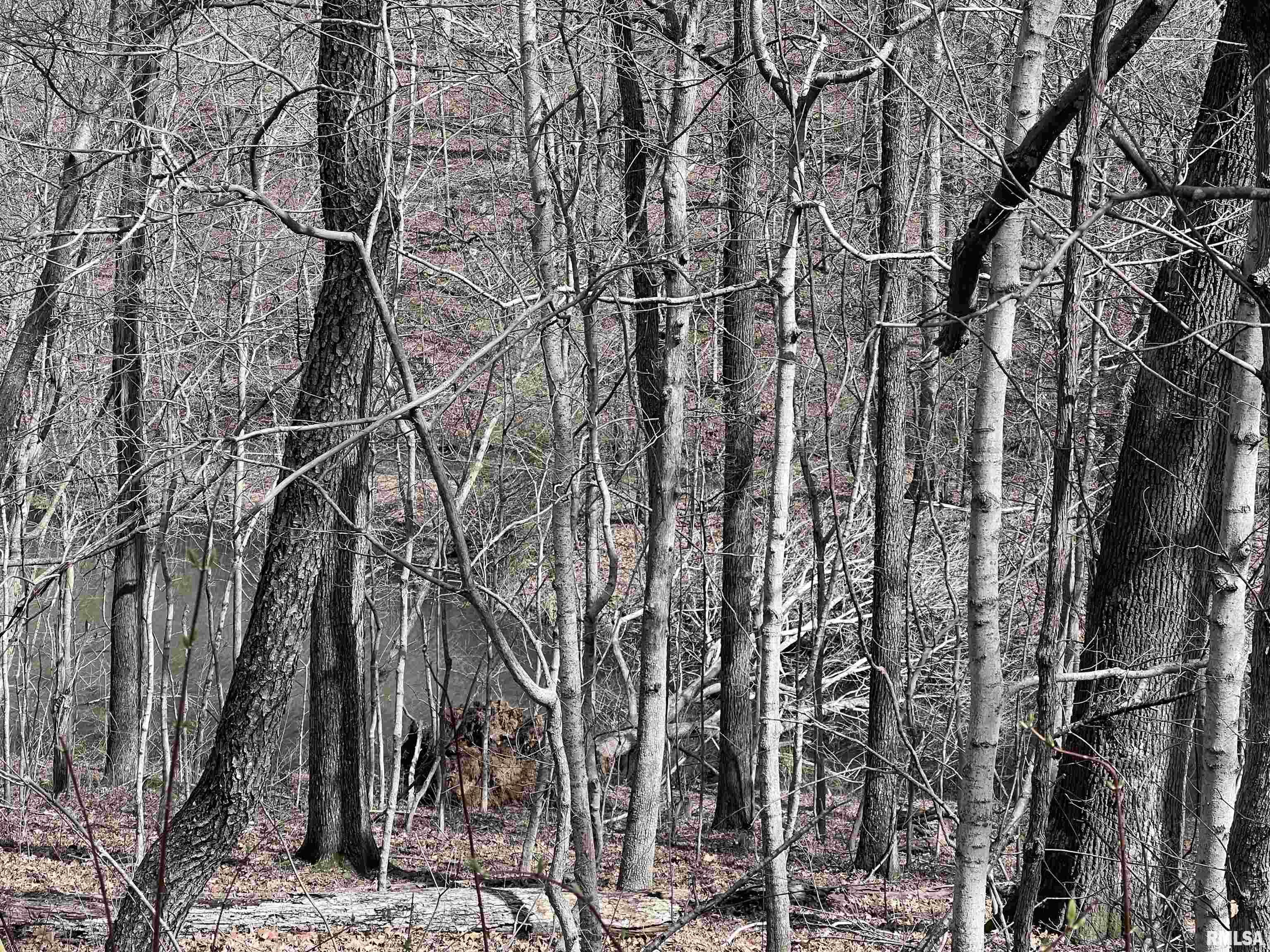 00 Deer Ridge Road, Goreville, Illinois image 4