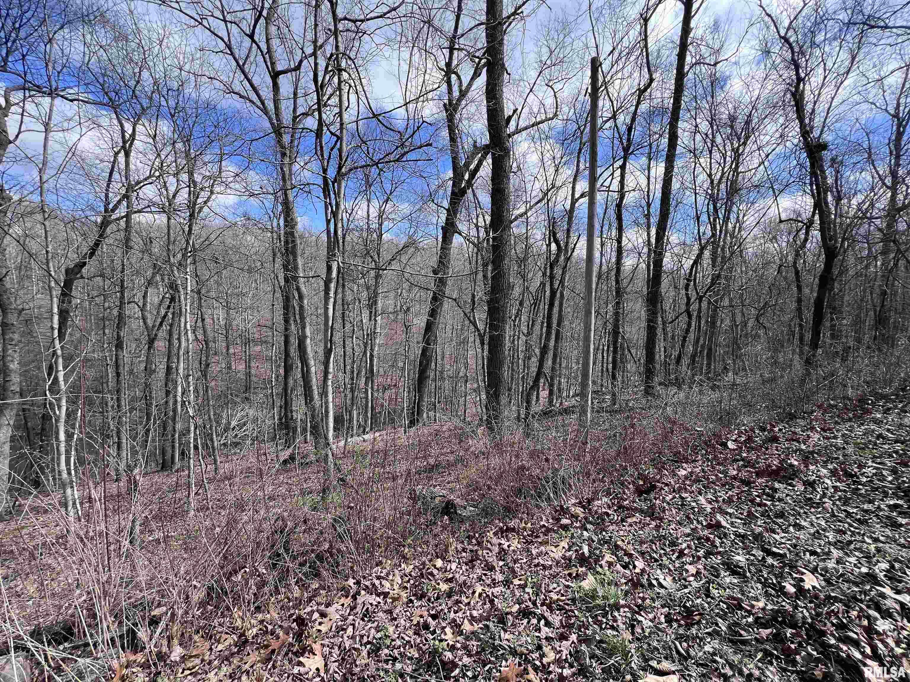 00 Deer Ridge Road, Goreville, Illinois image 9