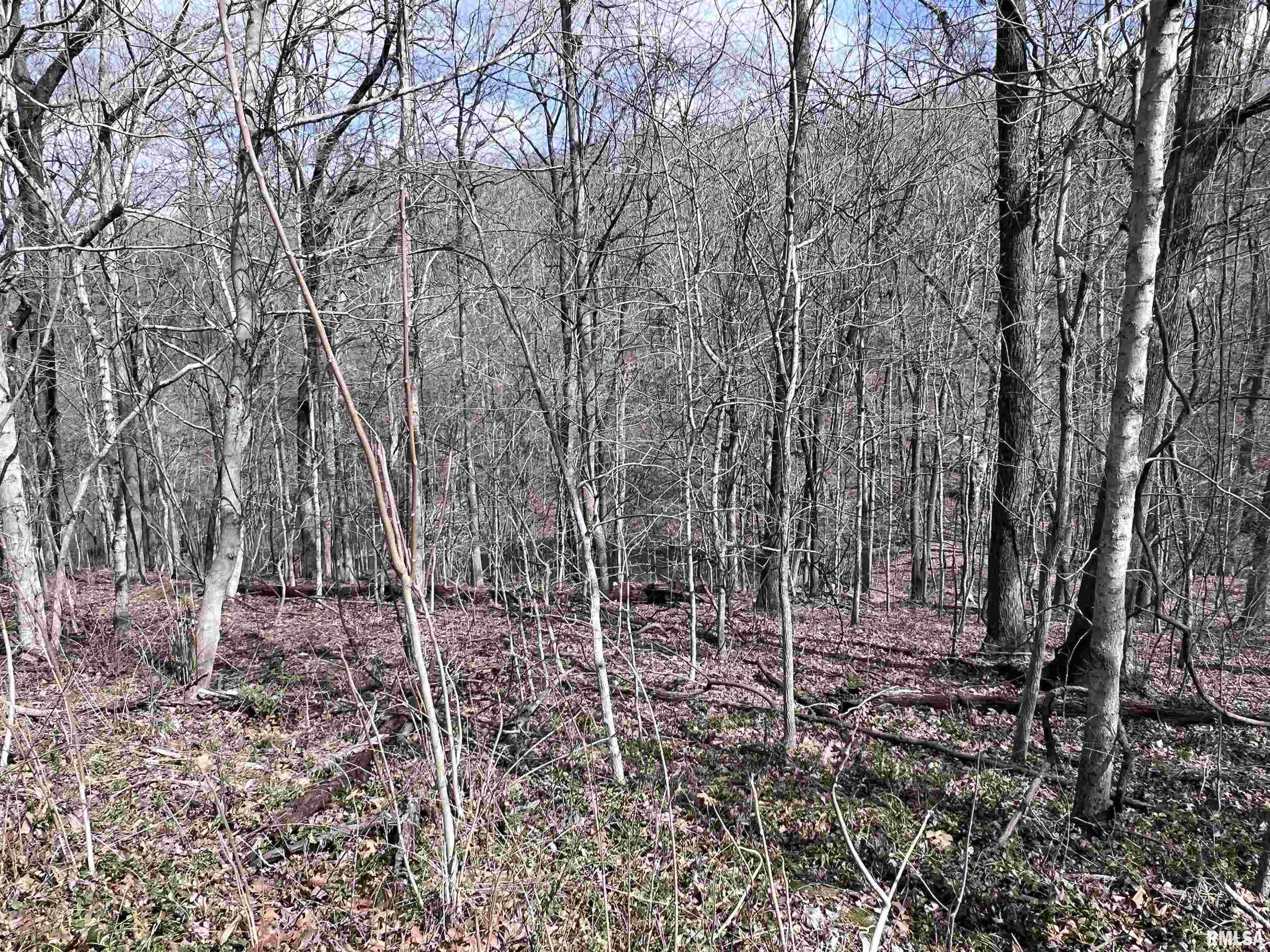 00 Deer Ridge Road, Goreville, Illinois image 8