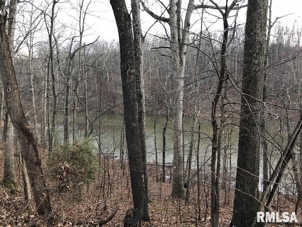 00 Deer Ridge Road, Goreville, Illinois image 5