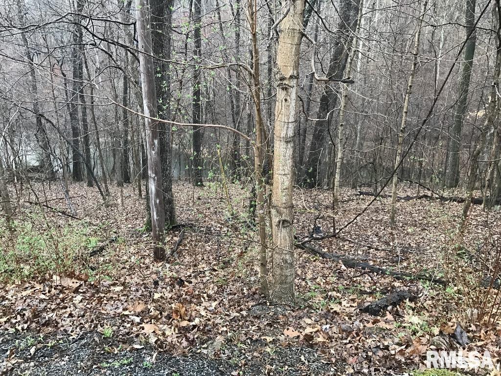 00 Deer Ridge Road, Goreville, Illinois image 1