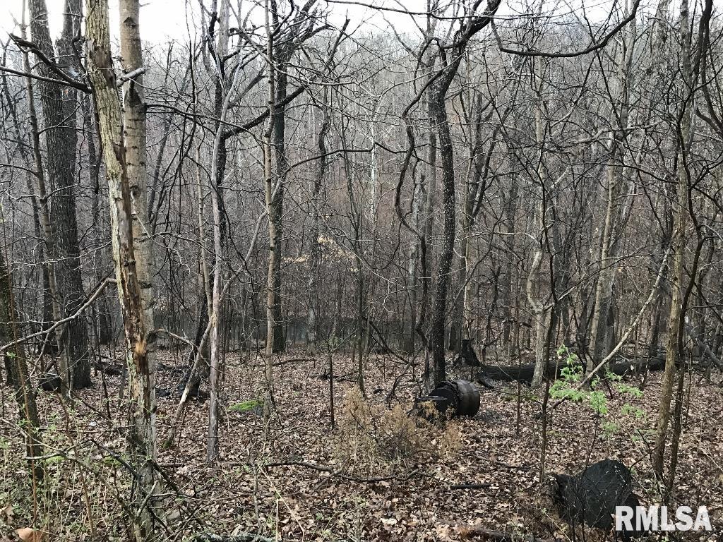 00 Deer Ridge Road, Goreville, Illinois image 3