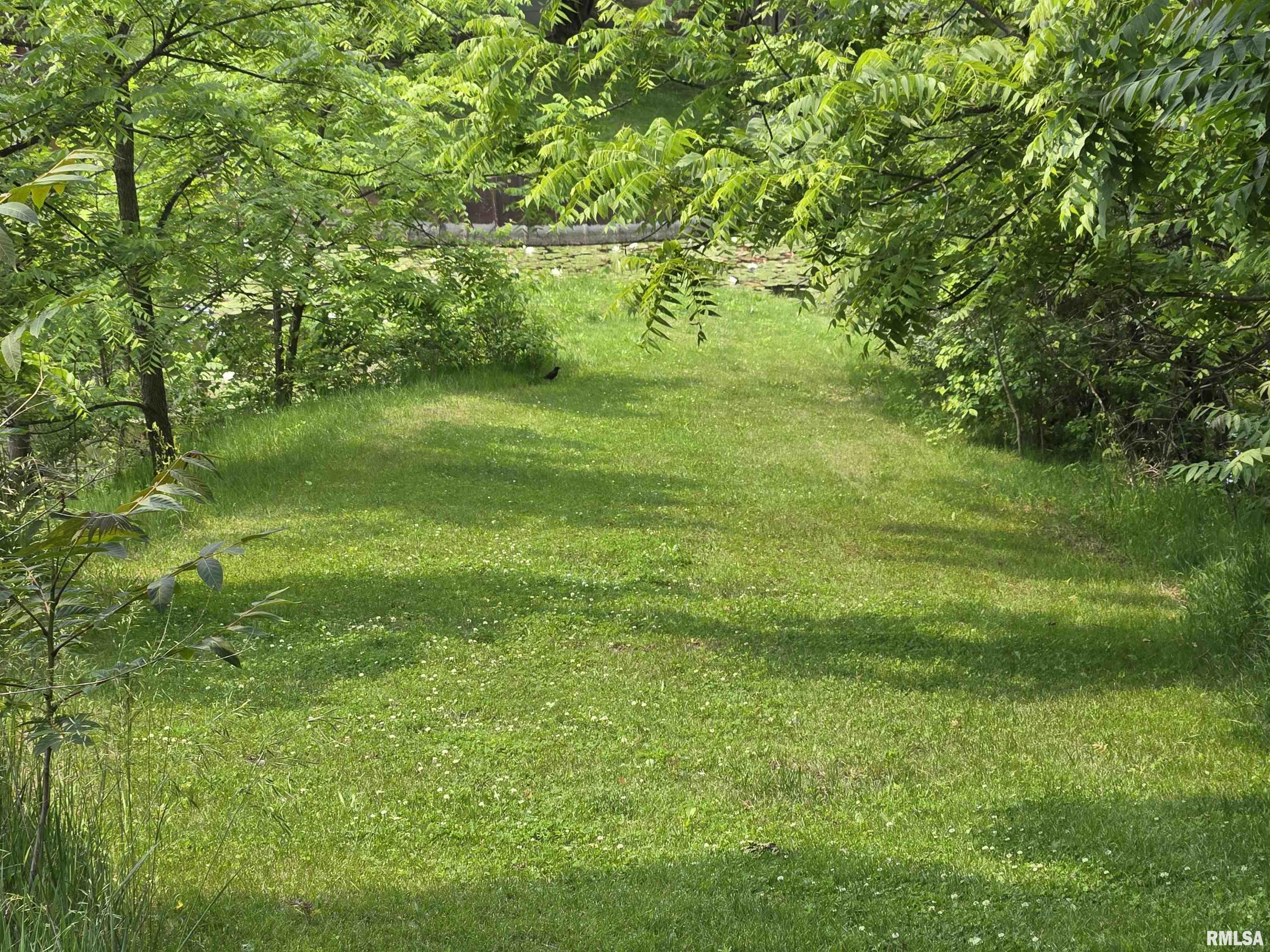 16324 E Cherokee Road, Cuba, Illinois image 41