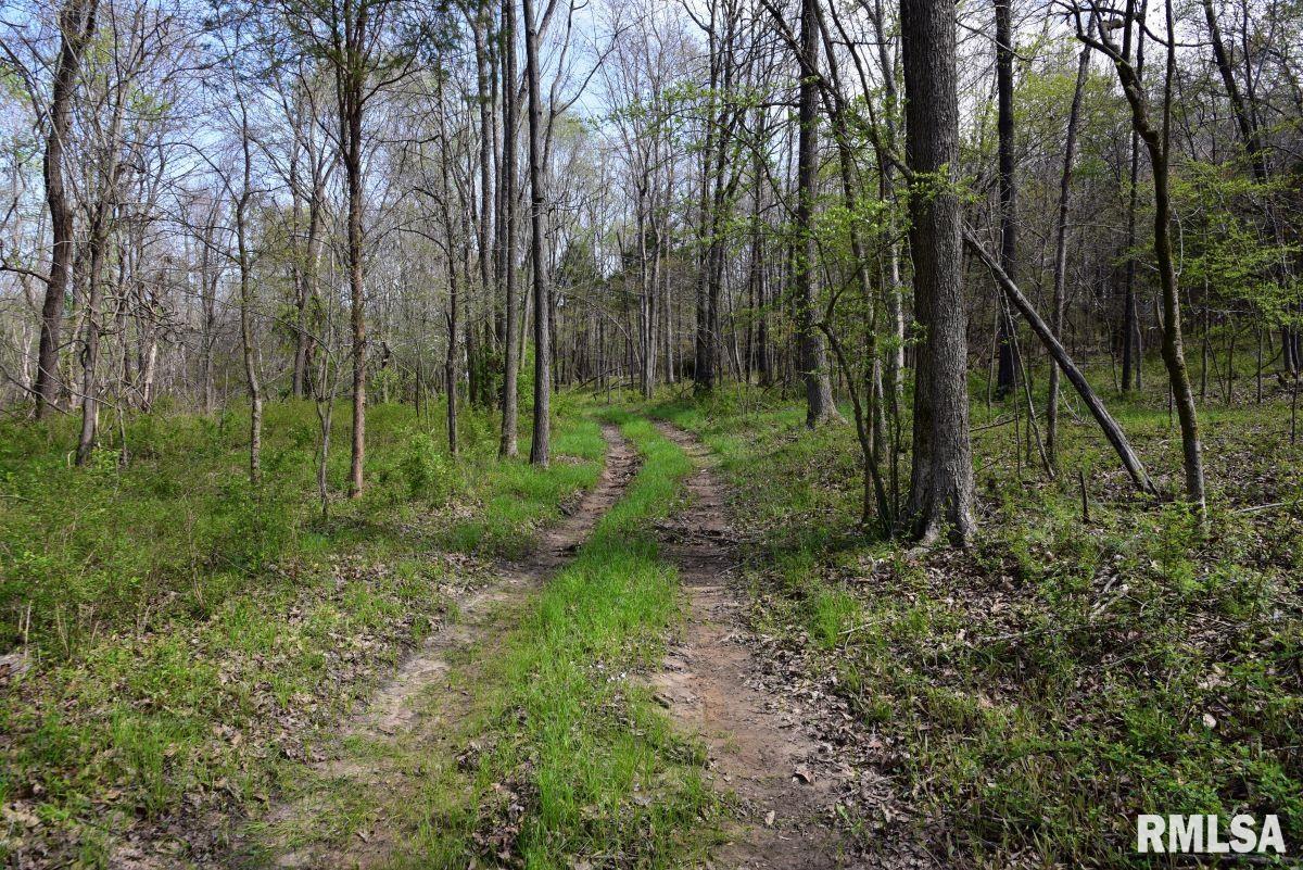000 Pea Ridge Road, Metropolis, Illinois image 3