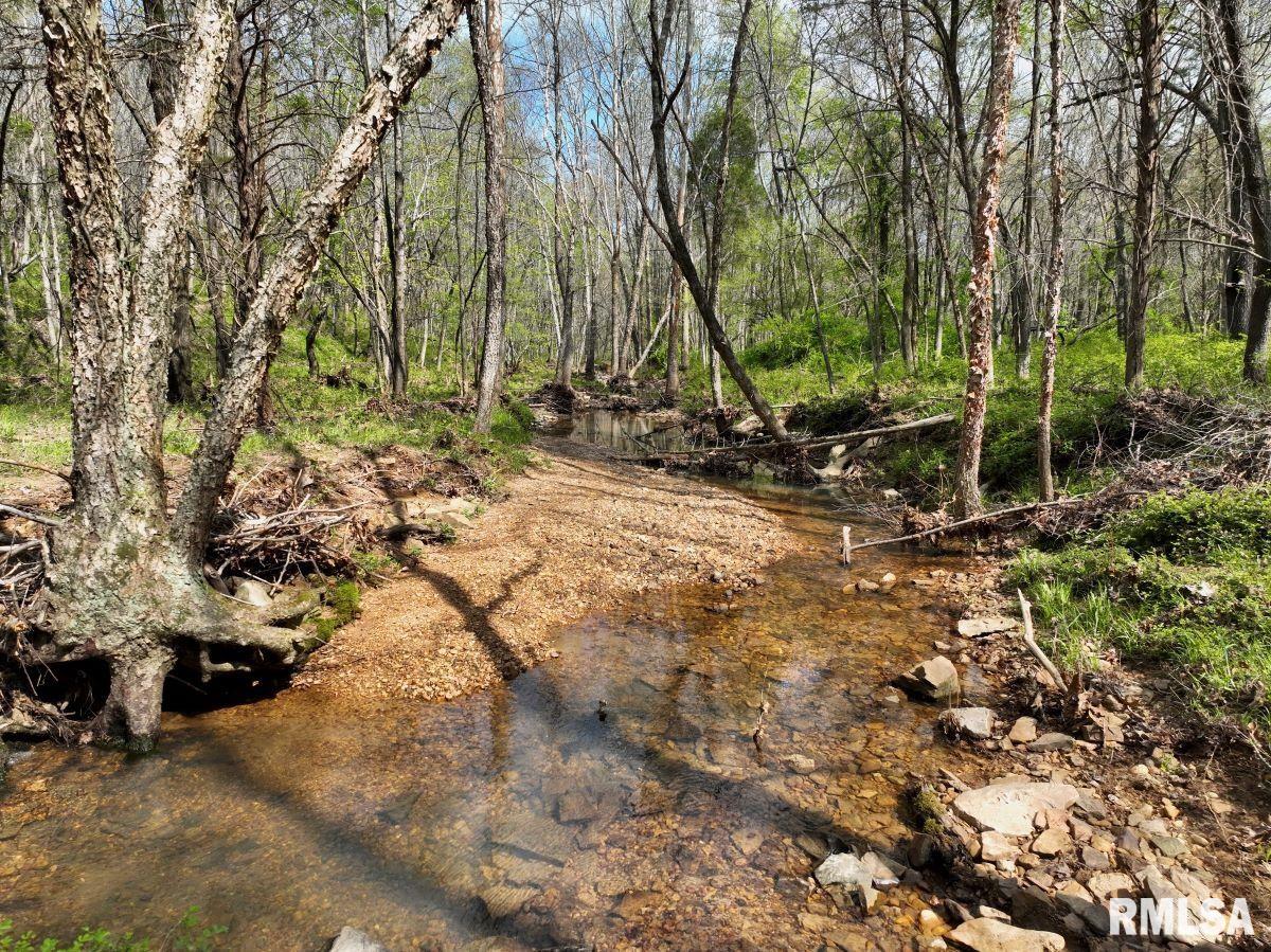 000 Pea Ridge Road, Metropolis, Illinois image 11