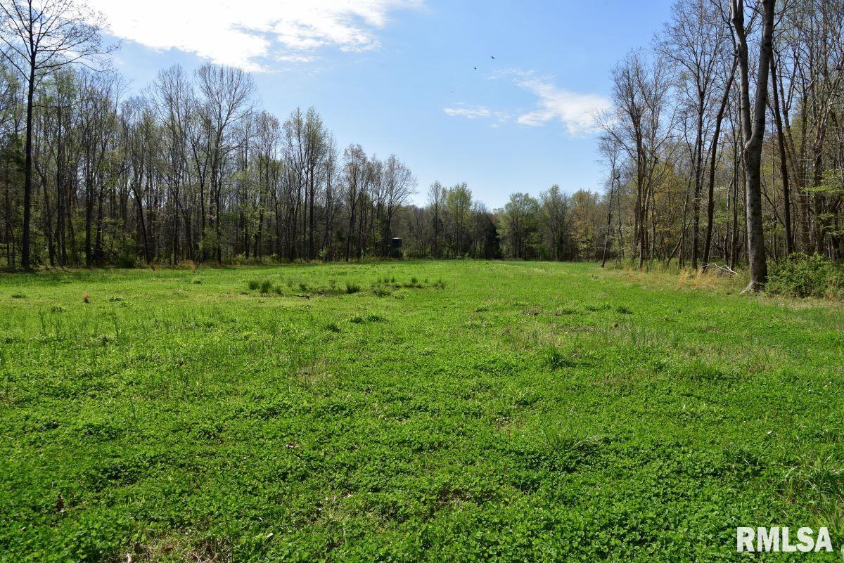 000 Pea Ridge Road, Metropolis, Illinois image 8