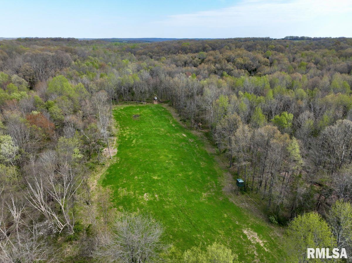 000 Pea Ridge Road, Metropolis, Illinois image 9
