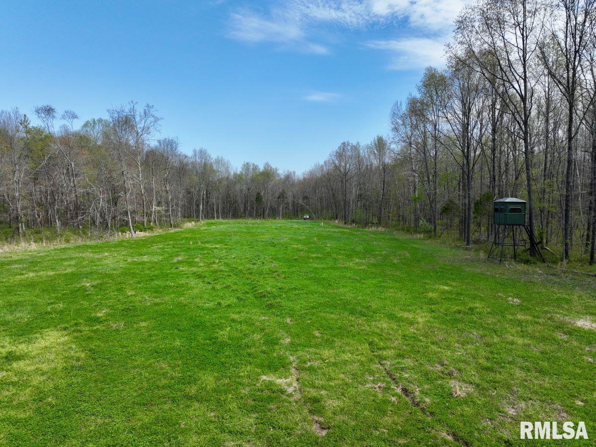 000 Pea Ridge Road, Metropolis, Illinois image 5