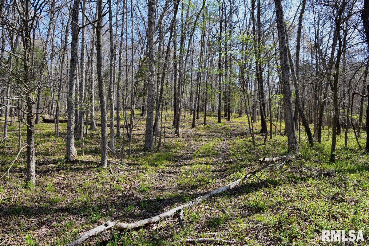 000 Pea Ridge Road, Metropolis, Illinois image 24
