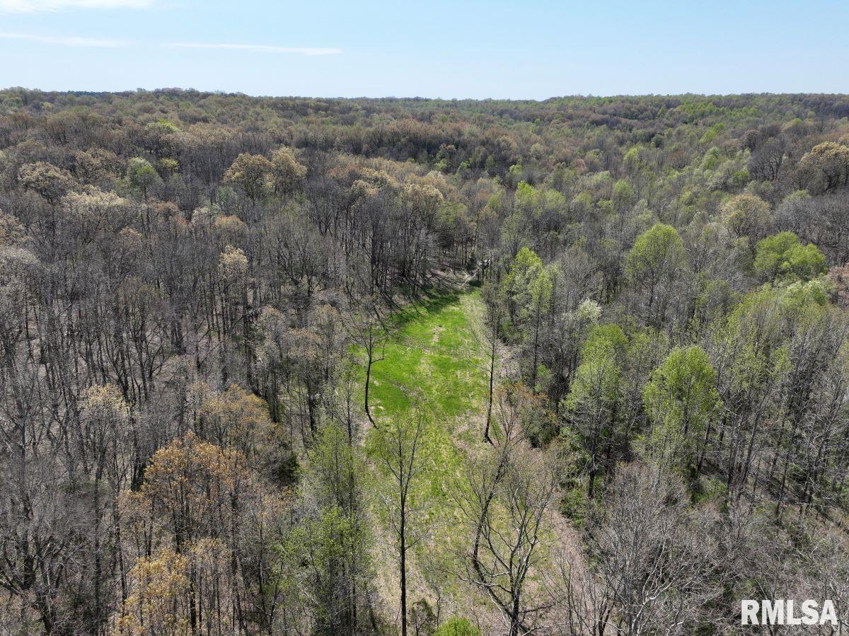 000 Pea Ridge Road, Metropolis, Illinois image 29