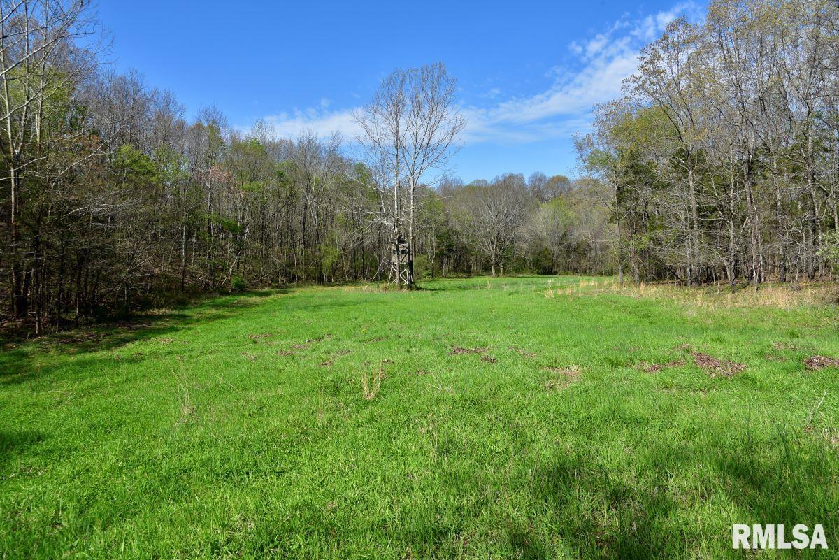 000 Pea Ridge Road, Metropolis, Illinois image 16