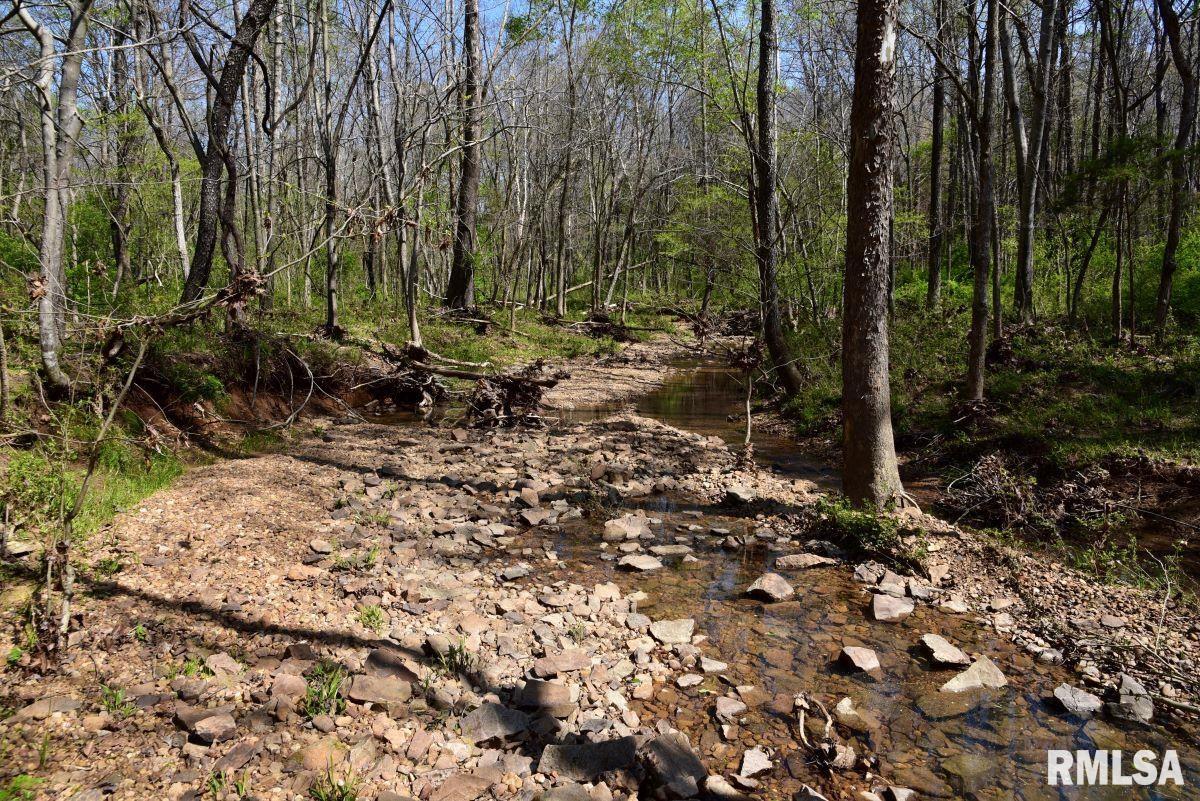 000 Pea Ridge Road, Metropolis, Illinois image 30