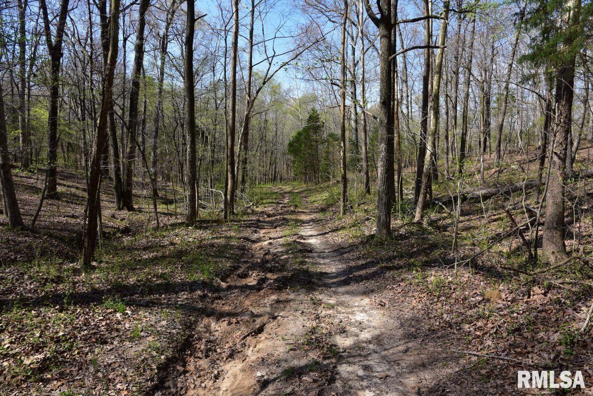 000 Pea Ridge Road, Metropolis, Illinois image 12