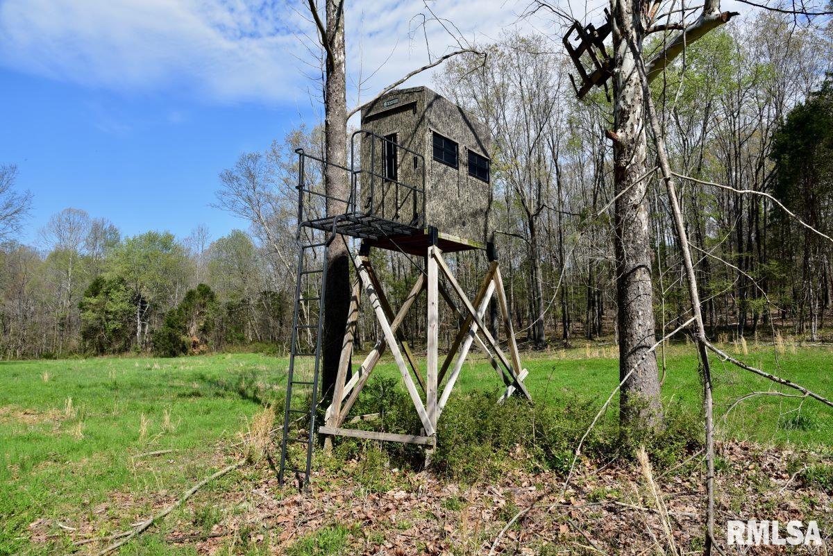 000 Pea Ridge Road, Metropolis, Illinois image 17