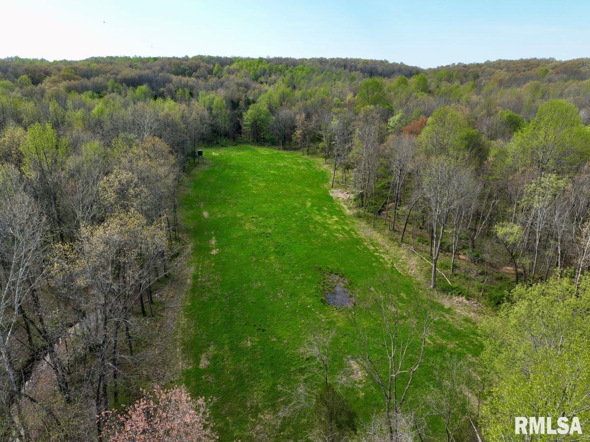 000 Pea Ridge Road, Metropolis, Illinois image 4
