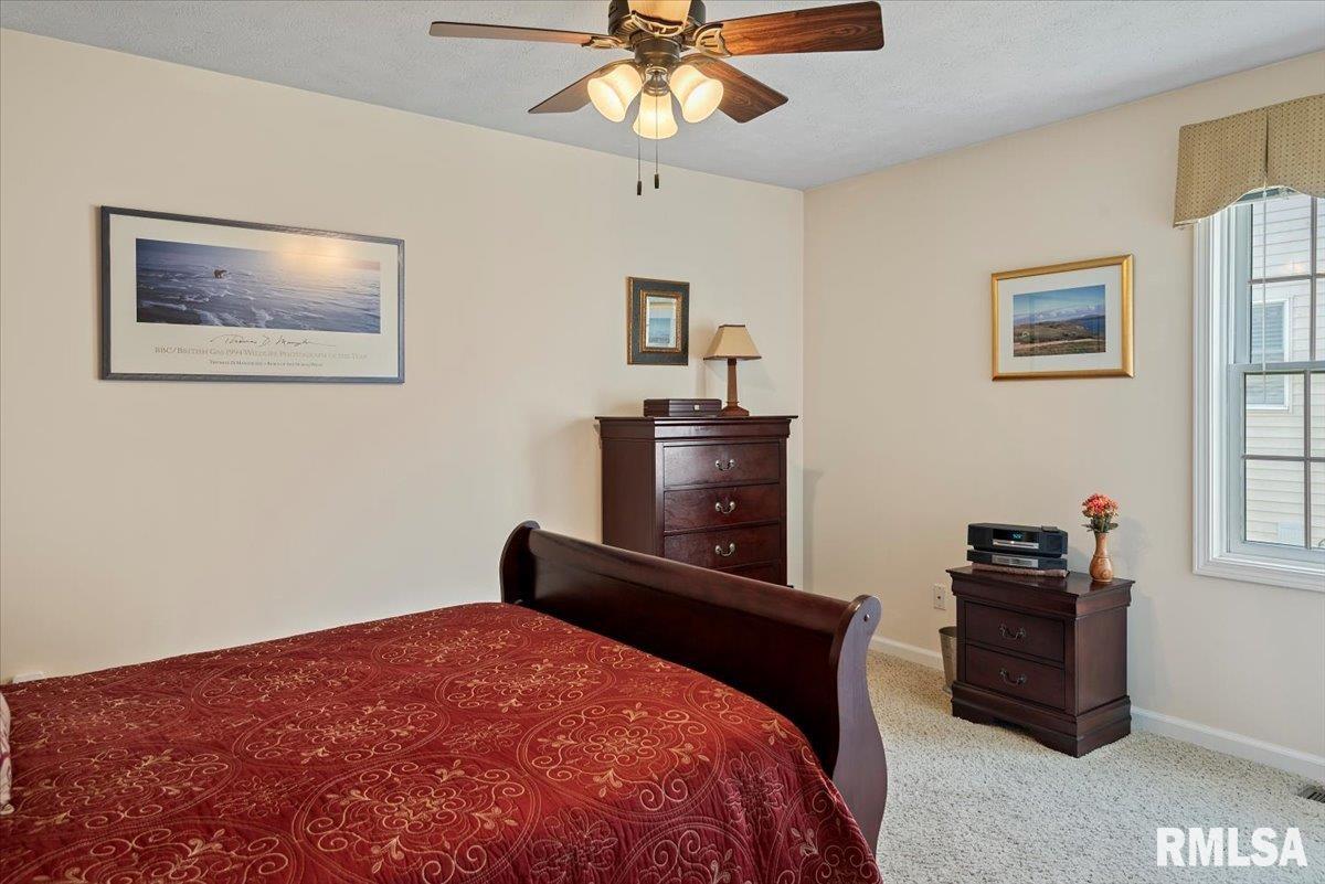 2811 Haggard Drive, Springfield, Illinois image 23
