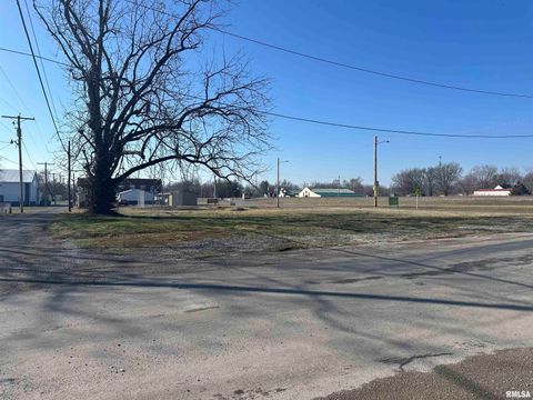 Vacant Land For Sale - 114 N 4th Street<br/> Jackson County, Elkville, IL 62932