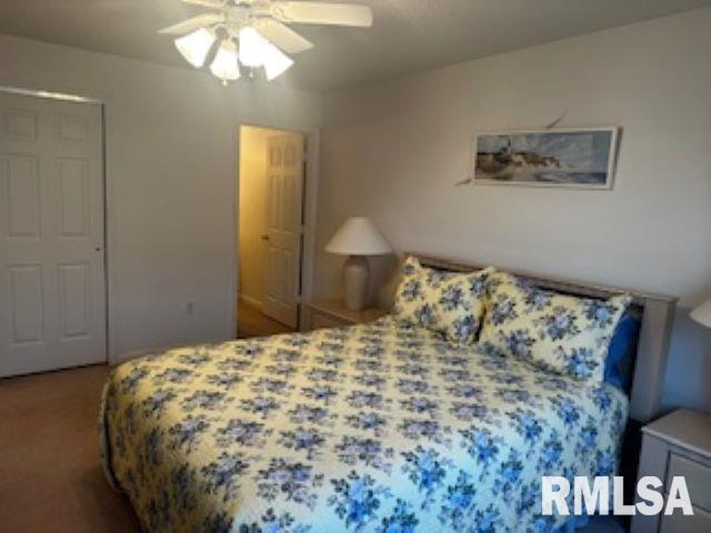 4907 Lakeview Drive, Quincy, Illinois image 16